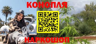 крисы Лесосибирск