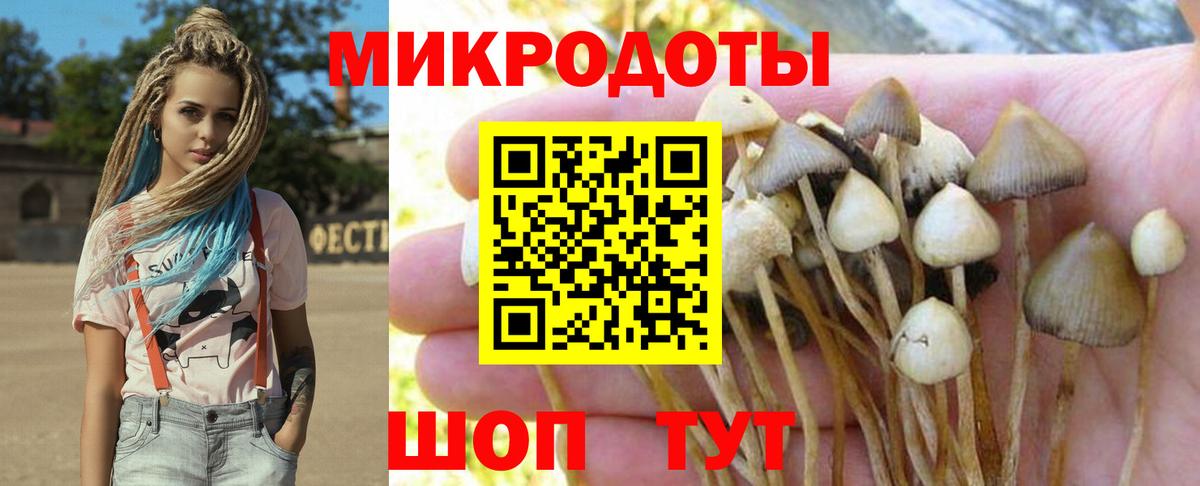 Галлюциногенные грибы MAGIC MUSHROOMS  Галлюциногенные грибы мицелий  Вход с VPN  Строитель 